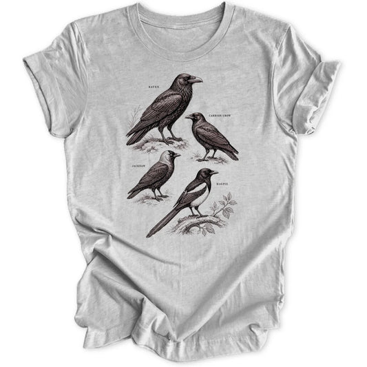Corvid Chart - Sport Grey