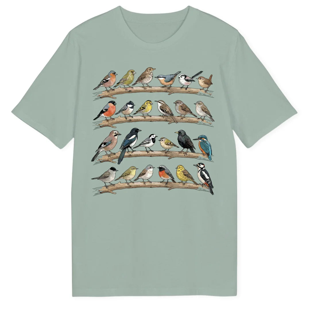 Bird Collection - Aloe
