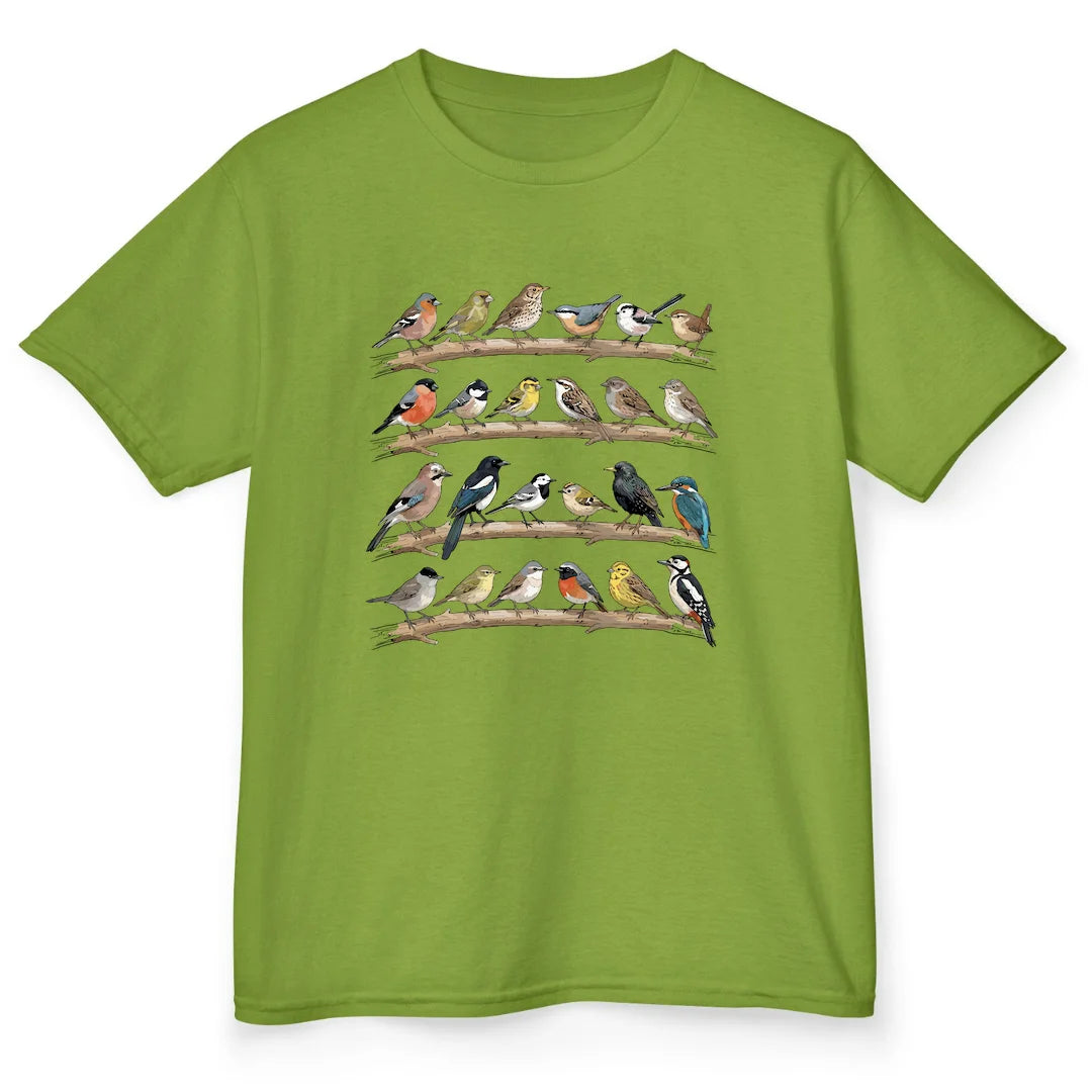 Bird Collection - Kiwi