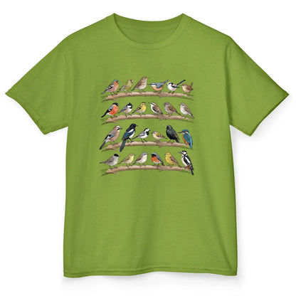 Bird Collection - Kiwi