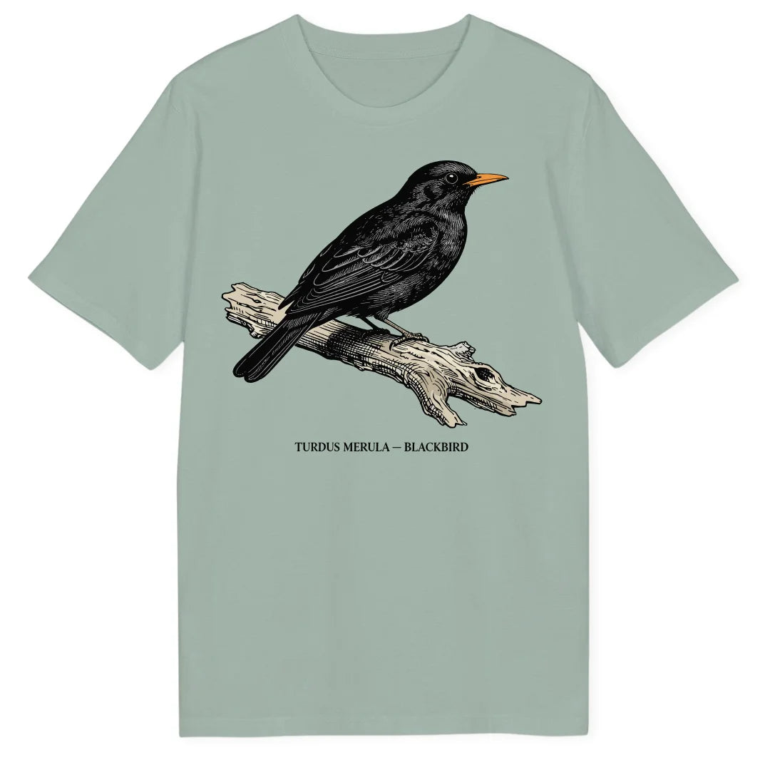 Blackbird Branch - Aloe