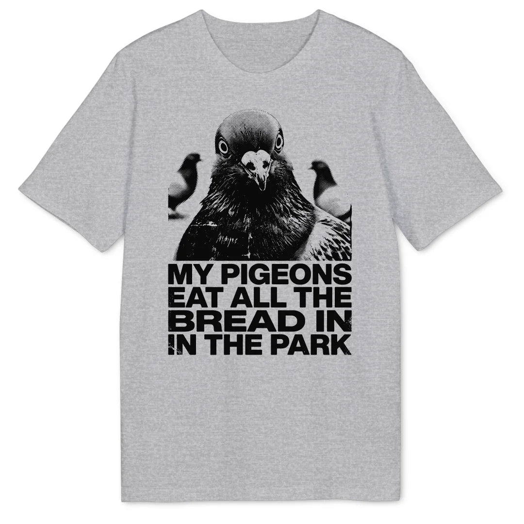 My Pigeons - Heather Grey