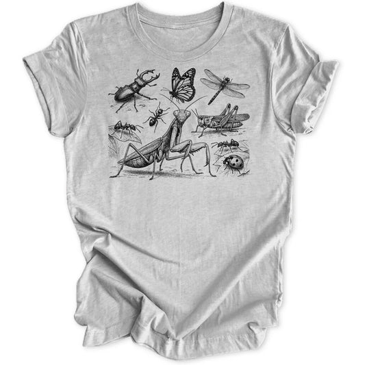 Insect Study - Sport Grey