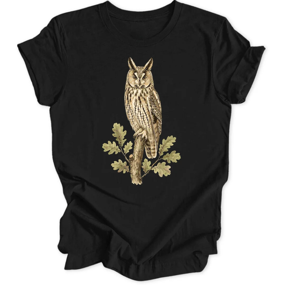 Eared Owl - Black