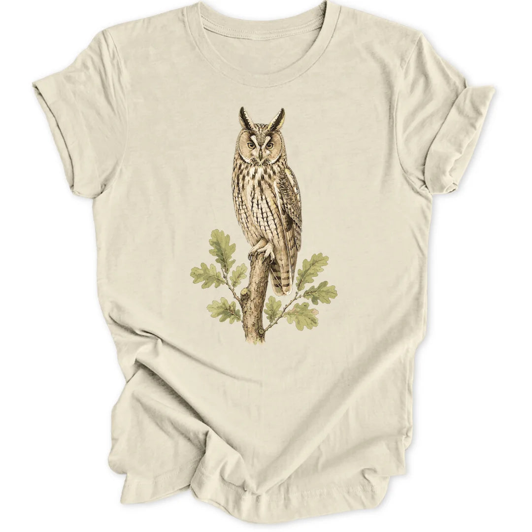 Eared Owl - Natural