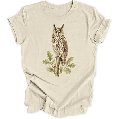 Eared Owl - Natural