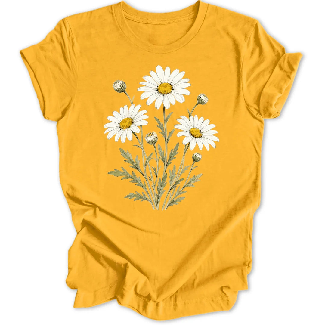 Oxeye Daisy - Gold