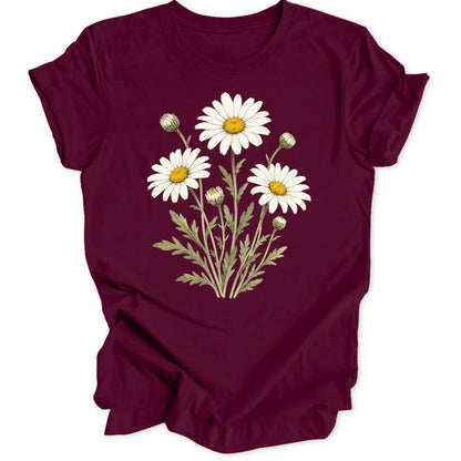 Oxeye Daisy - Maroon