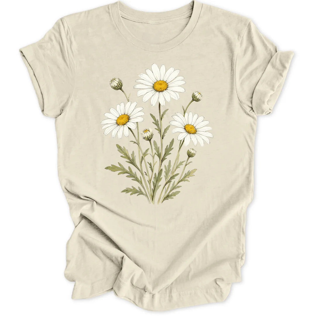Oxeye Daisy - Natural