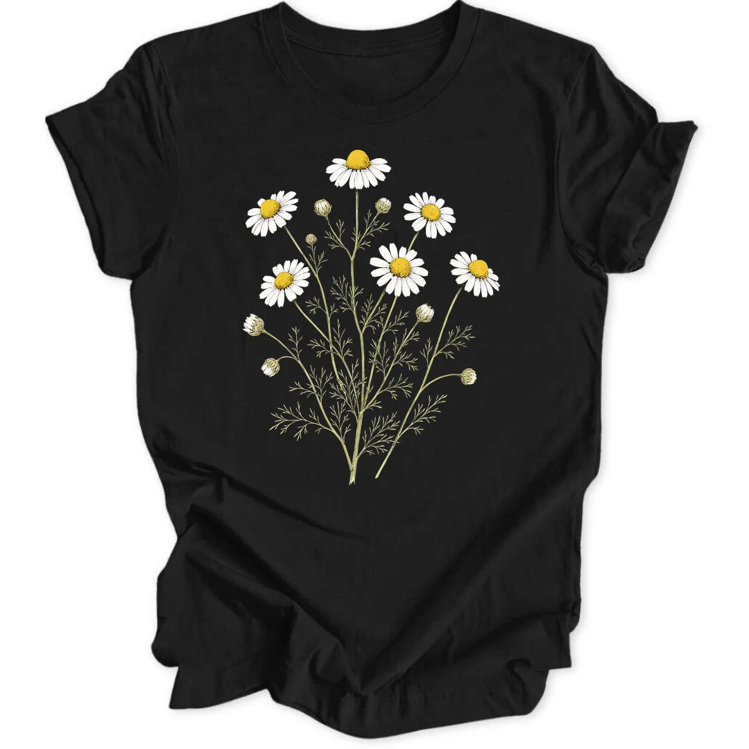 Chamomile - Black