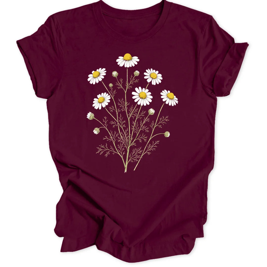 Chamomile - Maroon