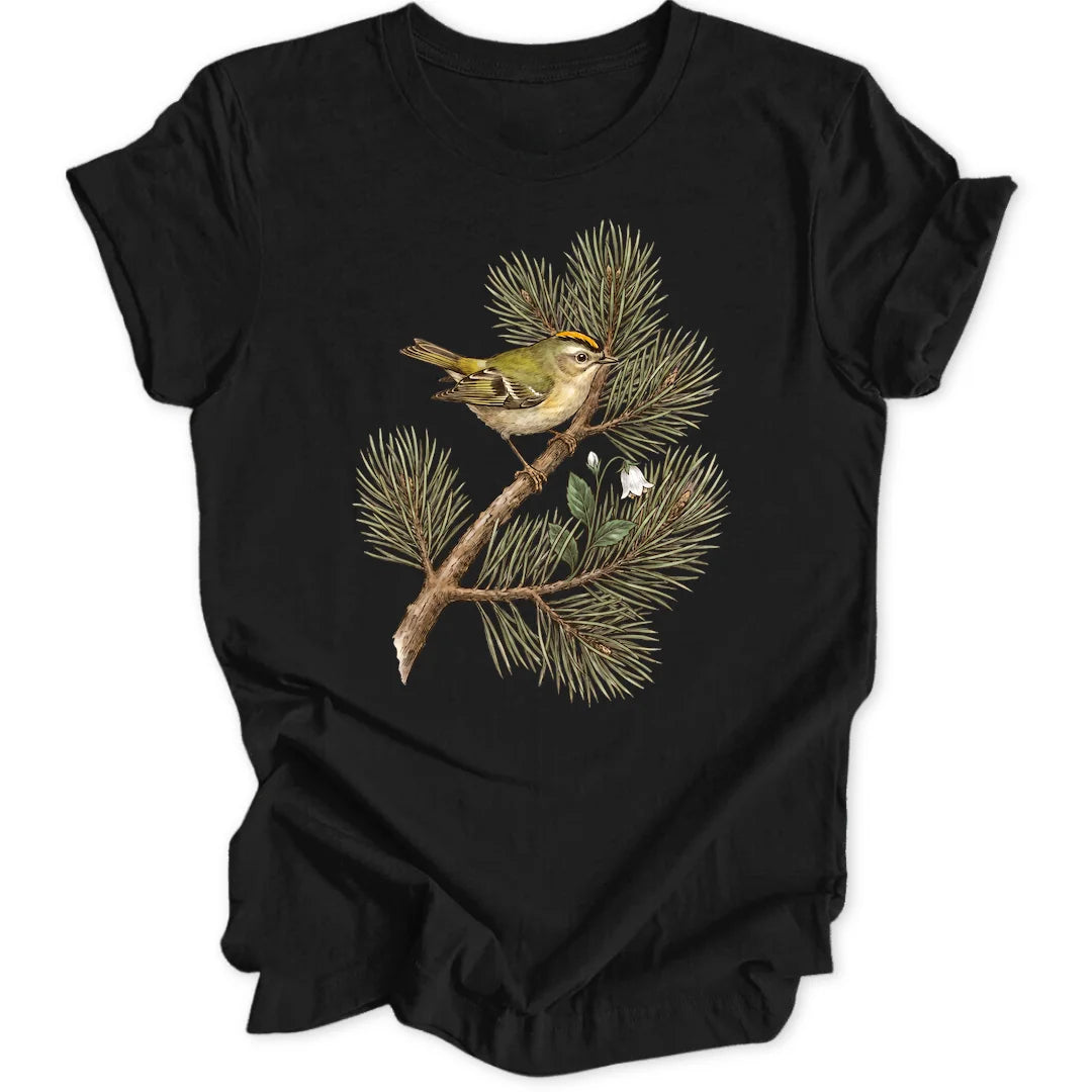 Goldcrest Pine - Black