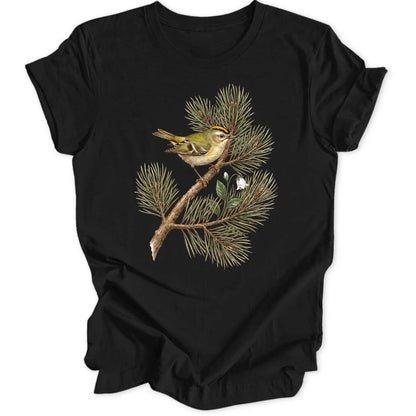 Goldcrest Pine - Black