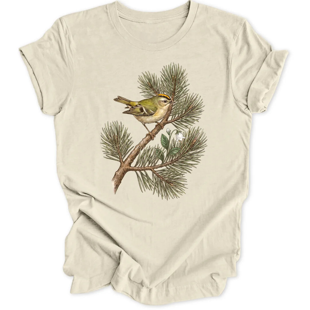 Goldcrest Pine - Natural