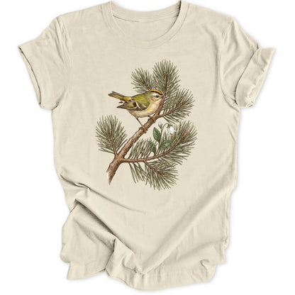 Goldcrest Pine - Natural