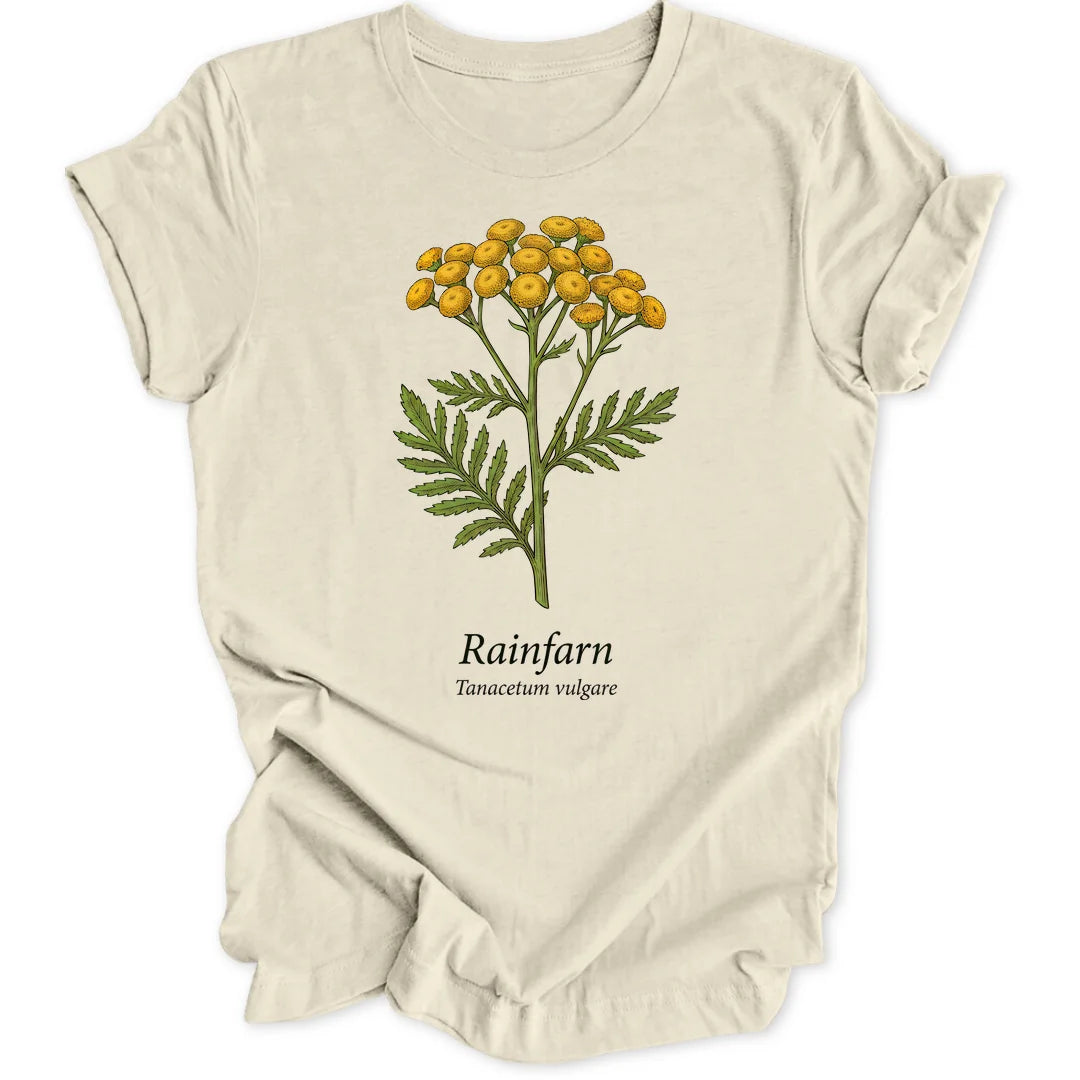 Tansy Study - Natural