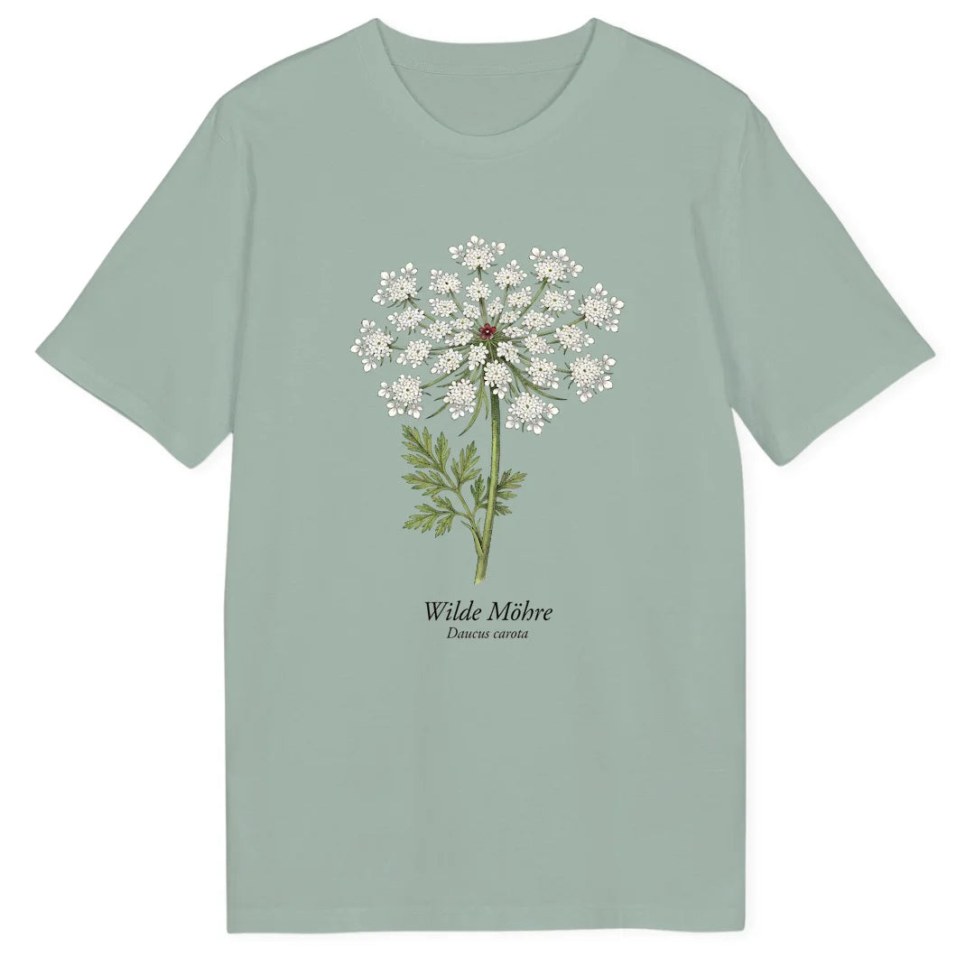 Wild Carrot Study - Aloe
