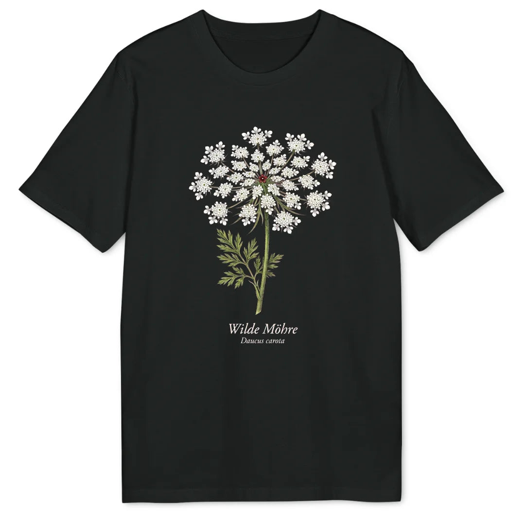 Wild Carrot Study - Black