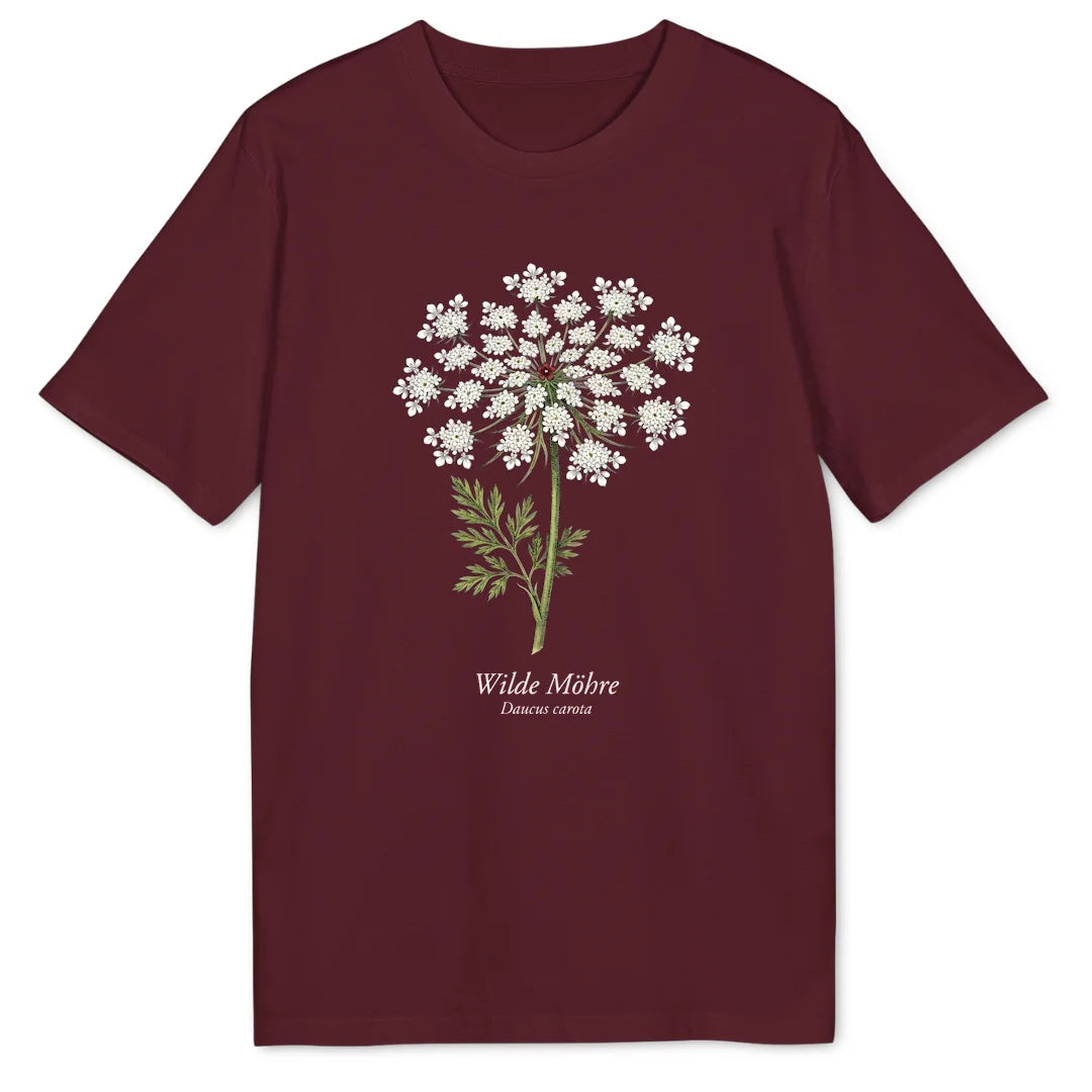 Wild Carrot Study - Burgundy