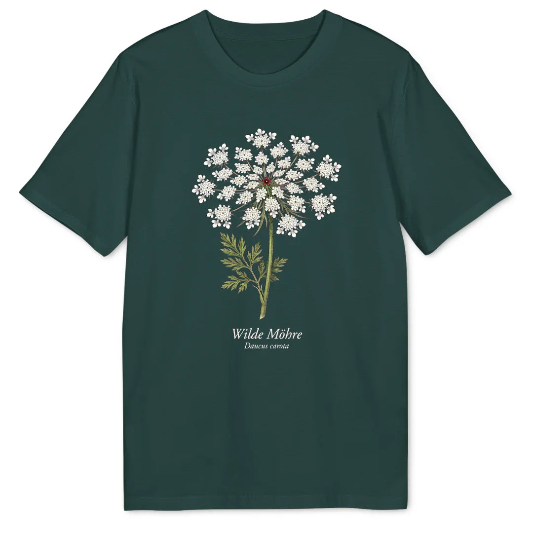 Wild Carrot Study - Glazed Green