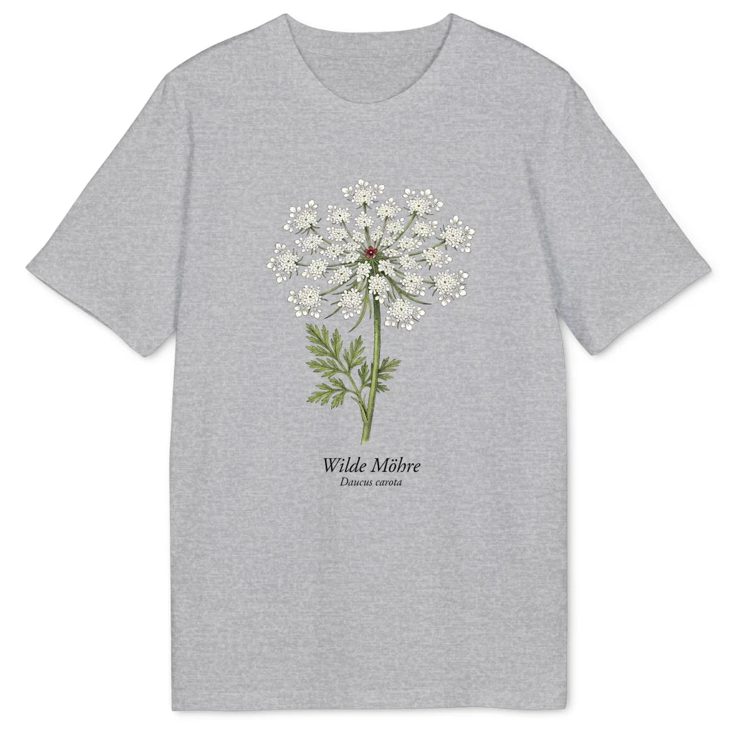 Wild Carrot Study - Heather Grey