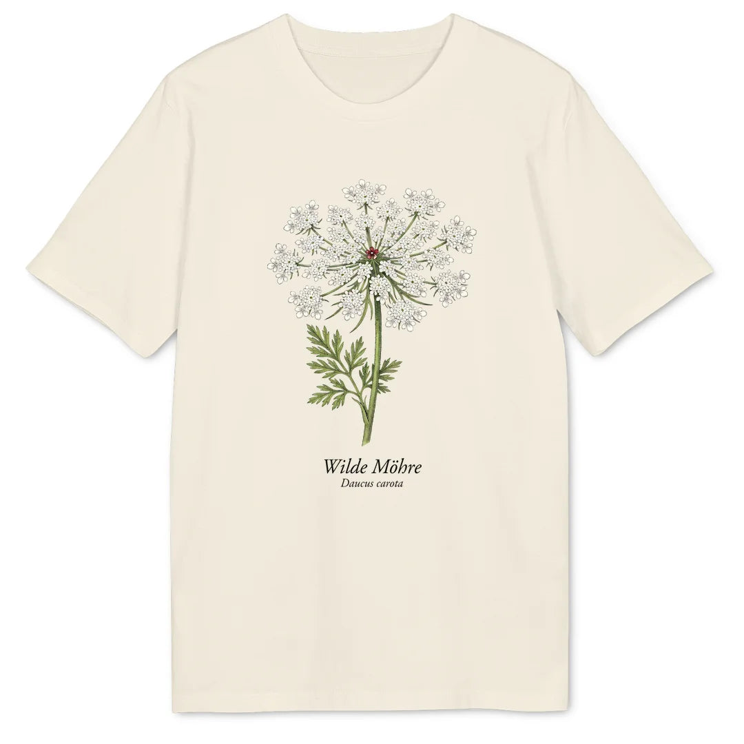Wild Carrot Study - Natural Raw