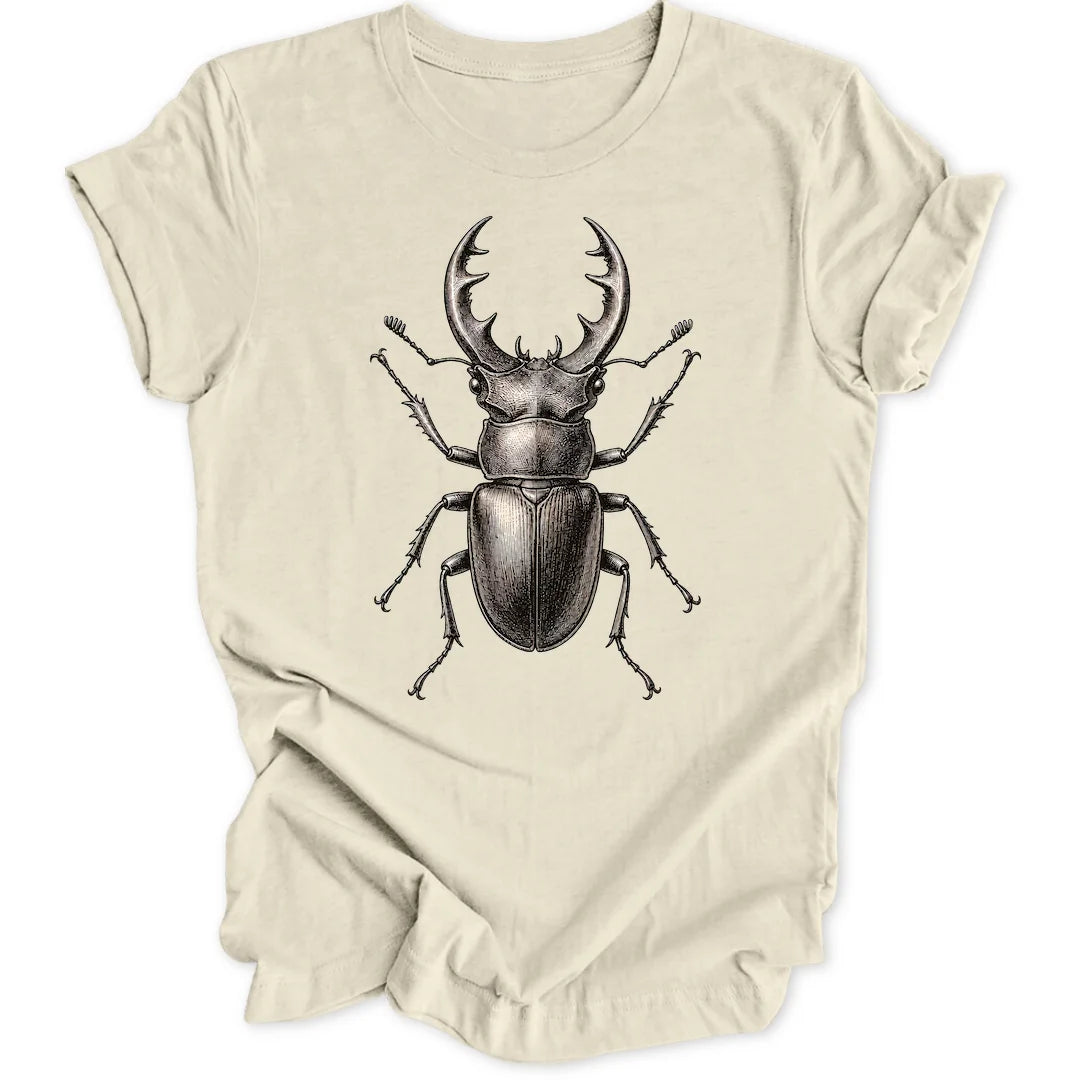 Stag Beetle - Natural