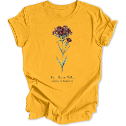 Karthaeusernelke - Gold