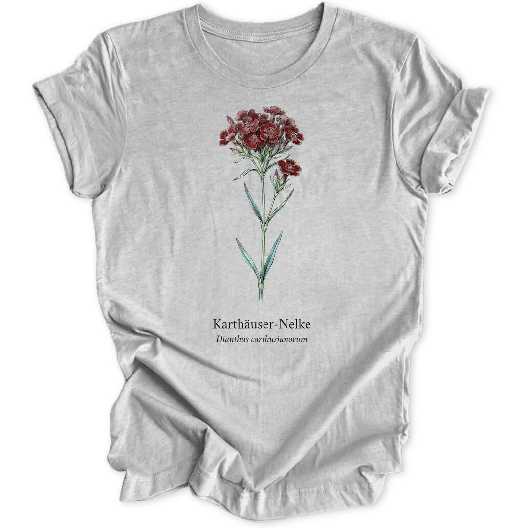 Karthaeusernelke - Sport Grey