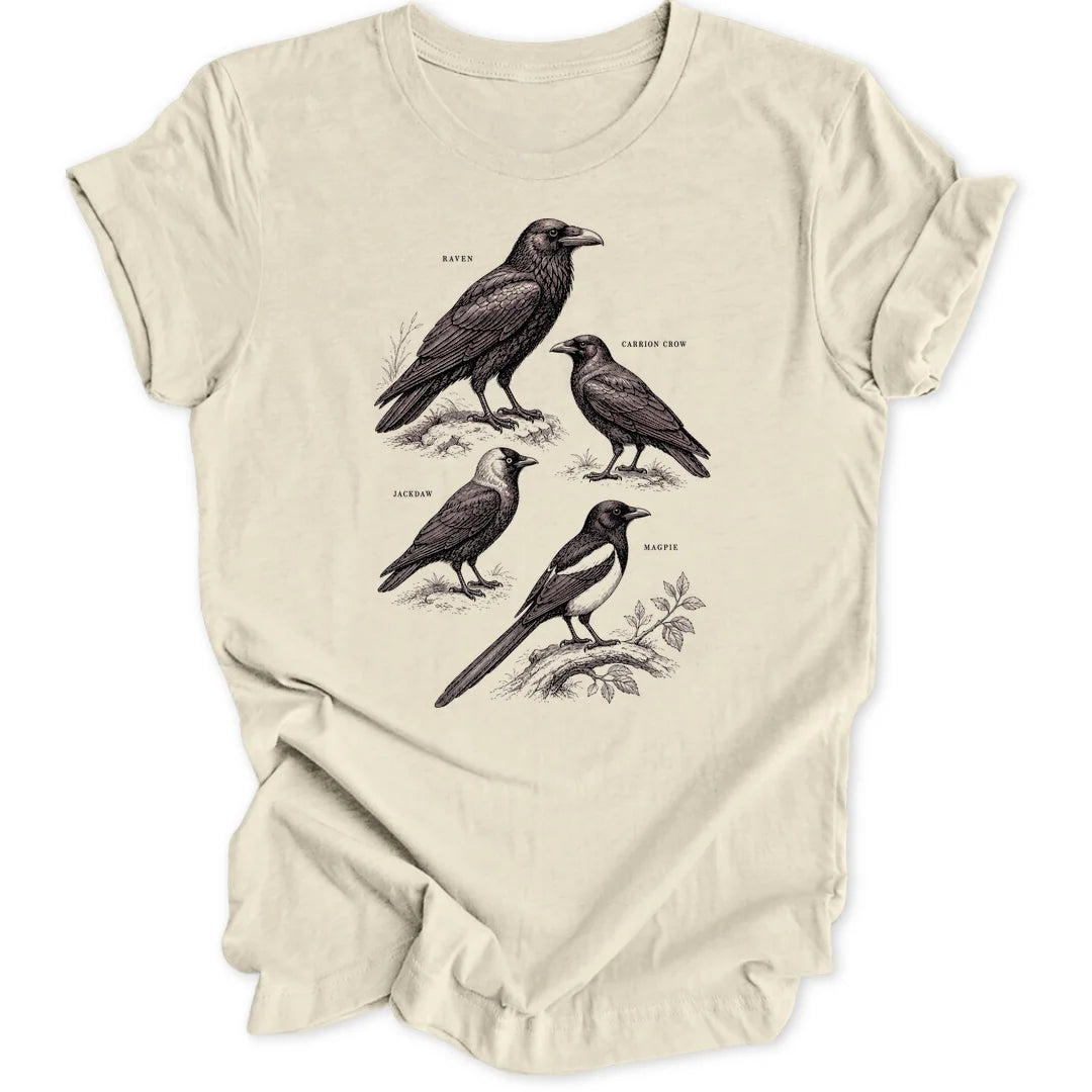 Corvid Chart - Natural