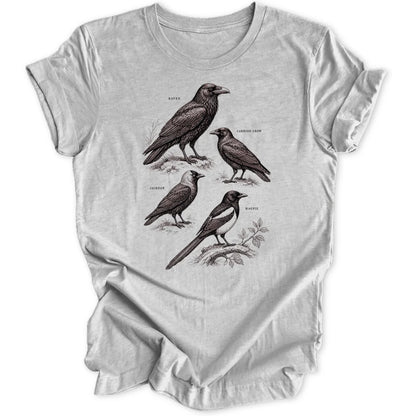 Corvid Chart - Sport Grey