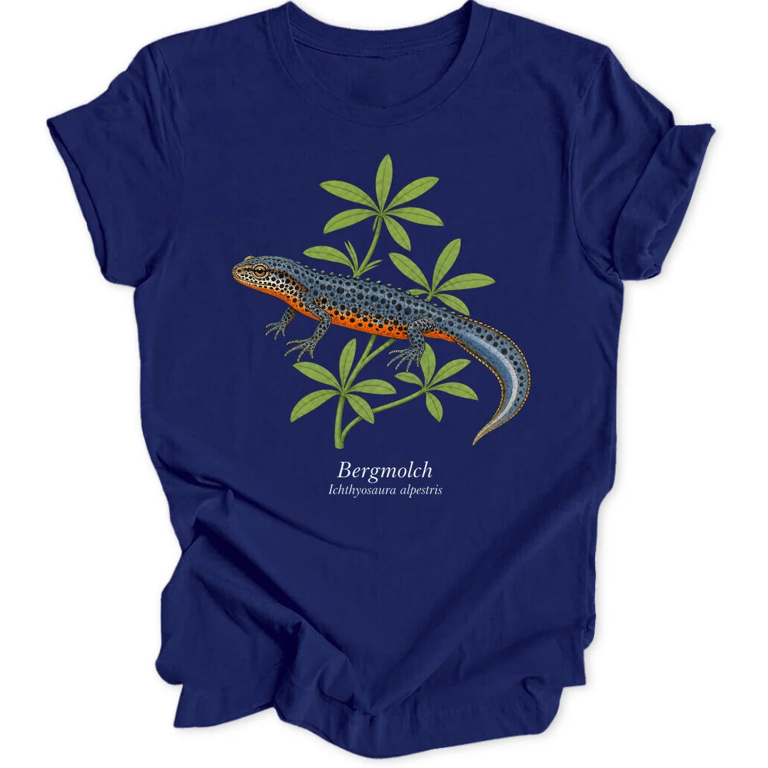 Bergmolch Study - Navy