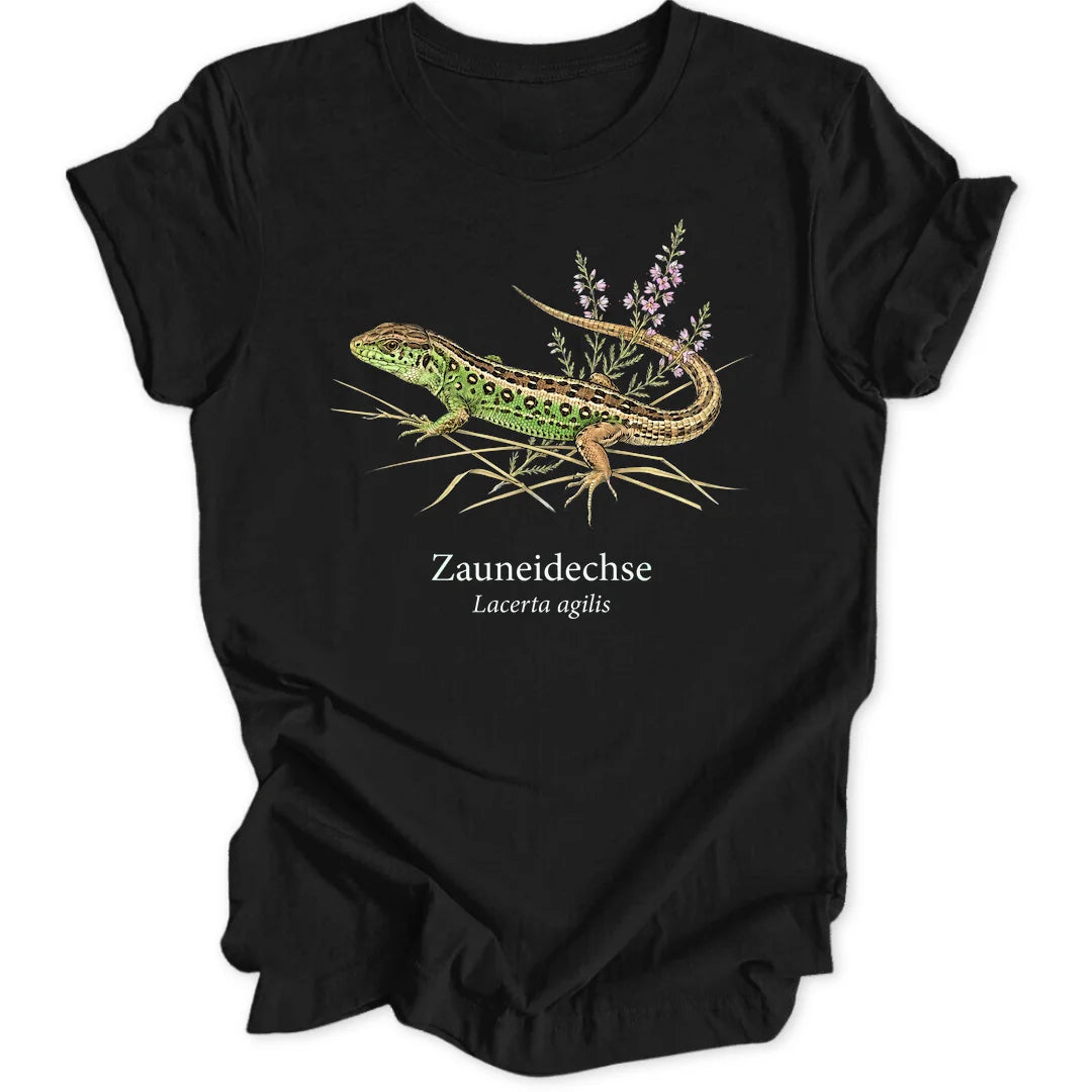 Zauneidechse Study - Black