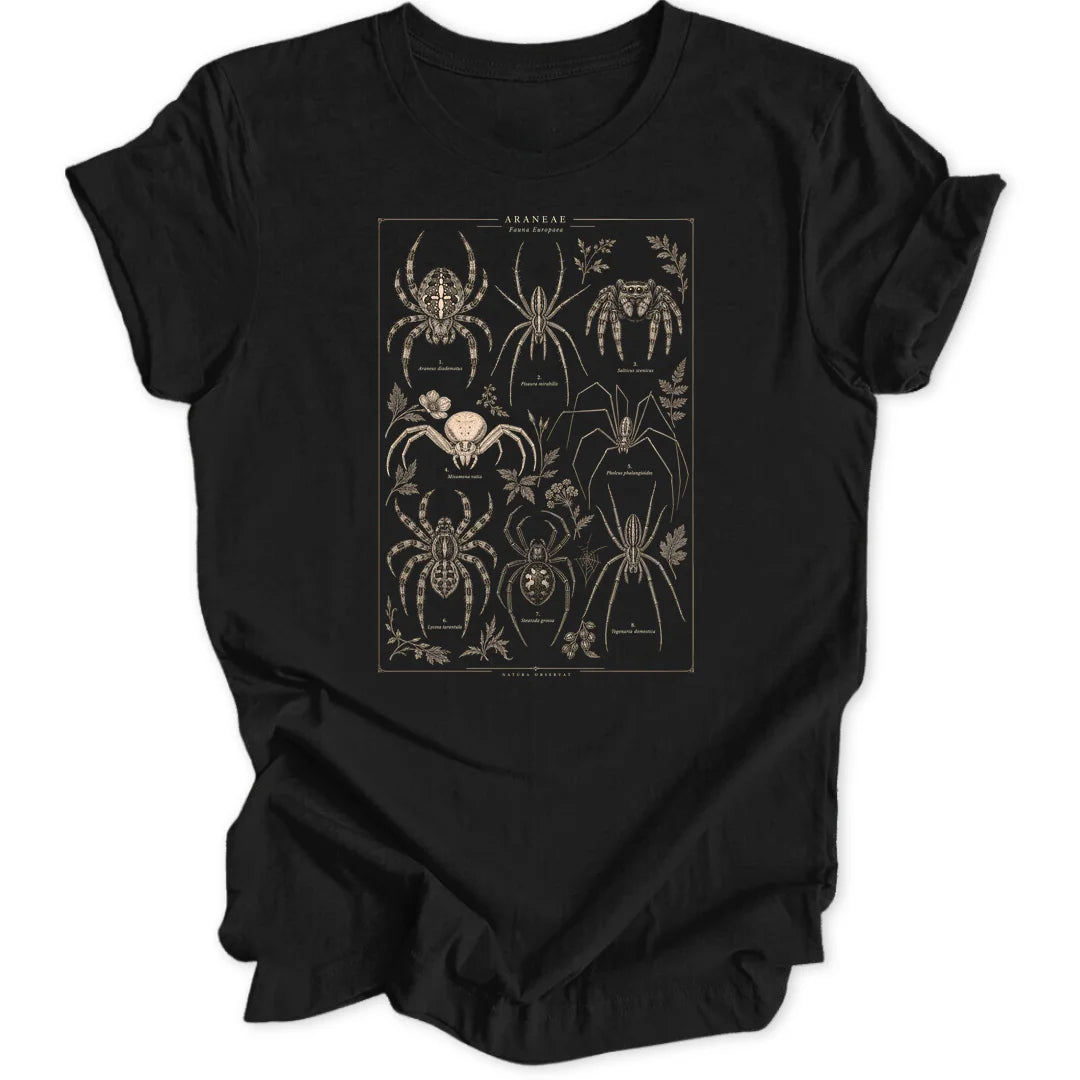 Spider Study - Black