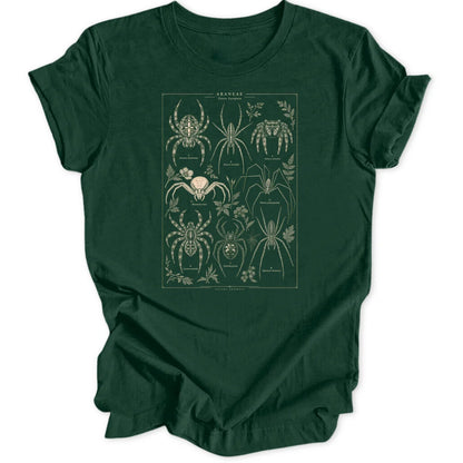Spider Study - Forest Green