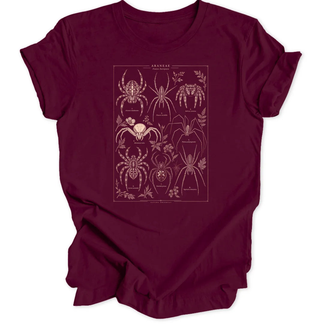 Spider Study - Maroon