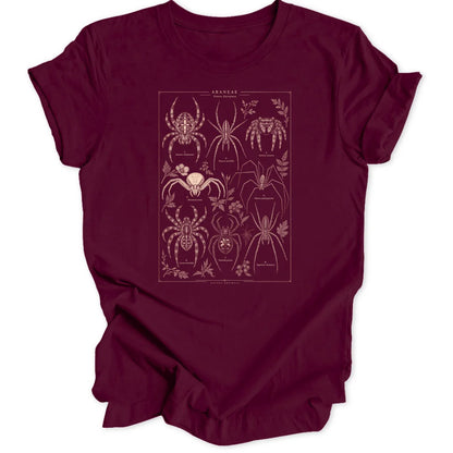 Spider Study - Maroon