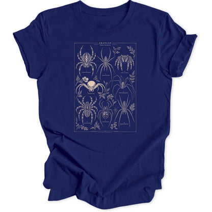 Spider Study - Navy