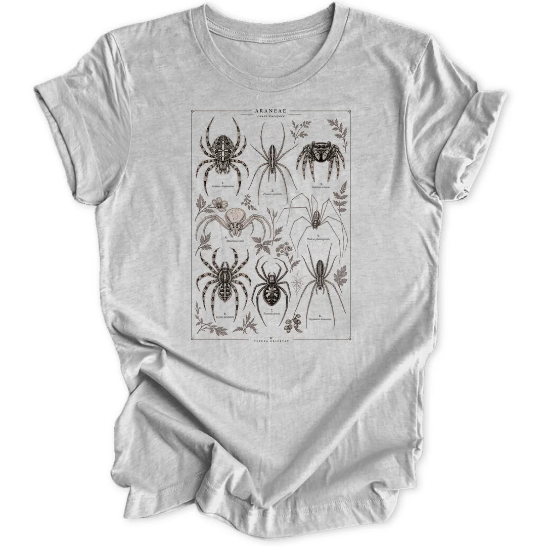 Spider Study - Sport Grey